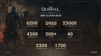 Завершился третий ЗБТ MMORPG The Quinfall — есть небольшая инфографика