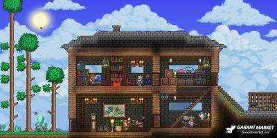 Разработчик Terraria считает, что 2024 год может стать лучшим годом для игры