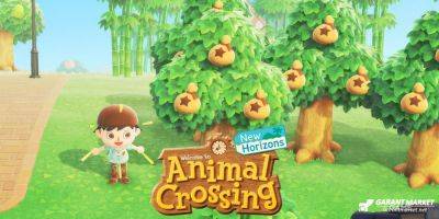 69-летний дедушка демонстрирует удивительный счет колокольчиков в Animal Crossing: Новые горизонты