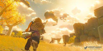 Игрок в Zelda: Tears of the Kingdom построил впечатляющий флайборд - garantmarket.net