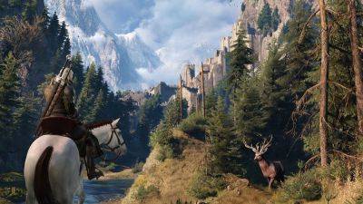 Спустя 9 лет после выхода The Witcher 3 игрок нашел новую пасхалку