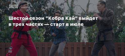 Шестой сезон «Кобра Кай» выйдет в трех частях — старт в июле - beltion-game.com