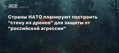 Страны НАТО планируют построить «стену из дронов» для защиты от «российской агрессии»