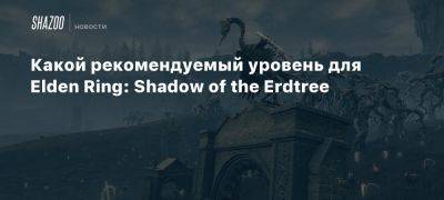 Какой рекомендуемый уровень для Elden Ring: Shadow of the Erdtree