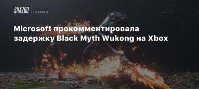 Microsoft прокомментировала задержку Black Myth Wukong на Xbox