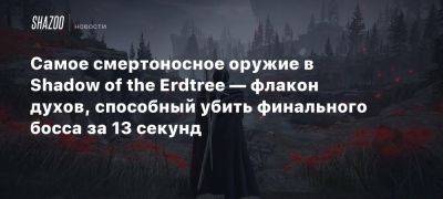 Самое смертоносное оружие в Shadow of the Erdtree — флакон духов, способный убить финального босса за 13 секунд