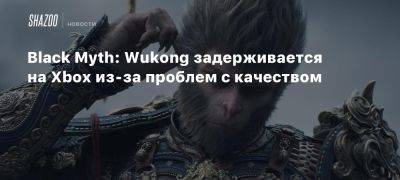 Black Myth: Wukong задерживается на Xbox из-за проблем с качеством