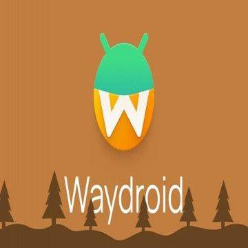 Valve может интегрировать эмулятор Waydroid в Steam для запуска Android-приложений - gamegpu.com