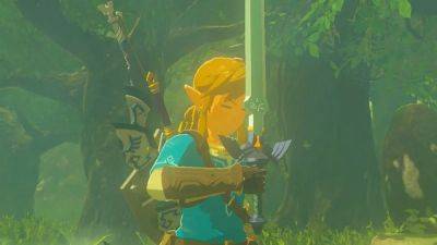 Фанат Legend of Zelda отсидит 4 месяца за ношение копии меча из видеоигры