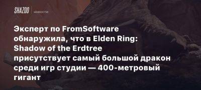 Эксперт по FromSoftware обнаружила, что в Elden Ring: Shadow of the Erdtree присутствует самый большой дракон среди игр студии — 400-метровый гигант