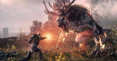 Вирощувач буряків в Австралії став старшим дизайнером квестів у The Witcher 3: "Він одержимий..." - my.ua