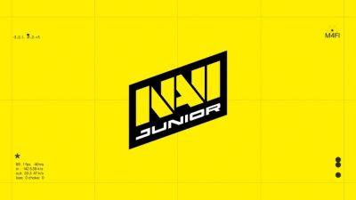 Украинская команда NAVI Junior выиграла сразу два турнира по Counter-Strike 2: сколько заработали