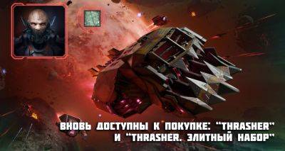 Наборы “Star Conflict: Thrasher. Элитный набор” и “Star Conflict: Thrasher”